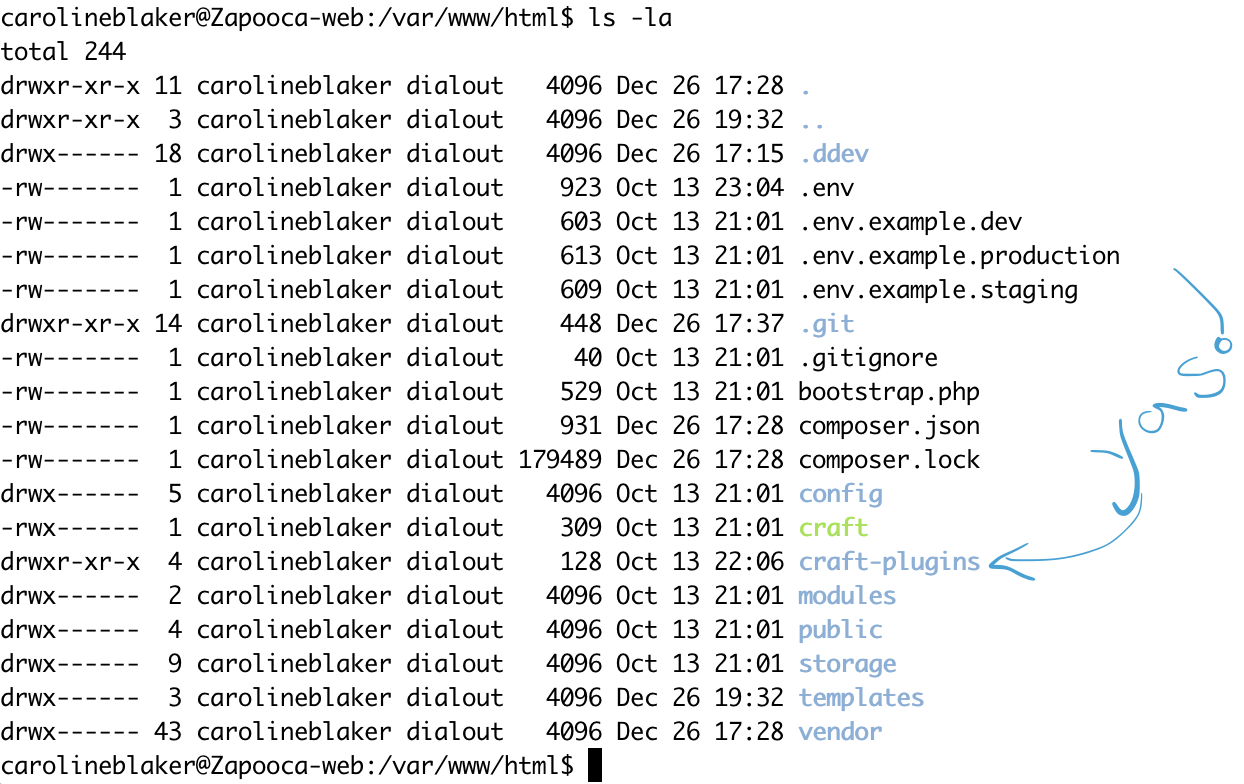 Getting Docker Mount to work in DDev in Craft CMS | Aquarian