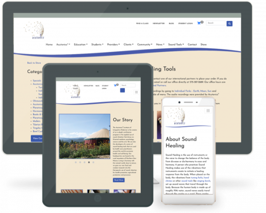 Website on multiple devices