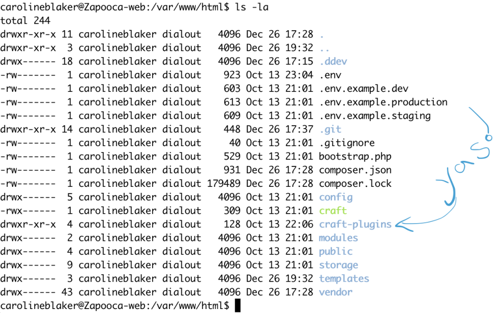 Terminal ls -la showing a craft-plugins directory exactly where we wanted it to be.