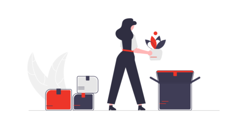 Website Problem Rescue image