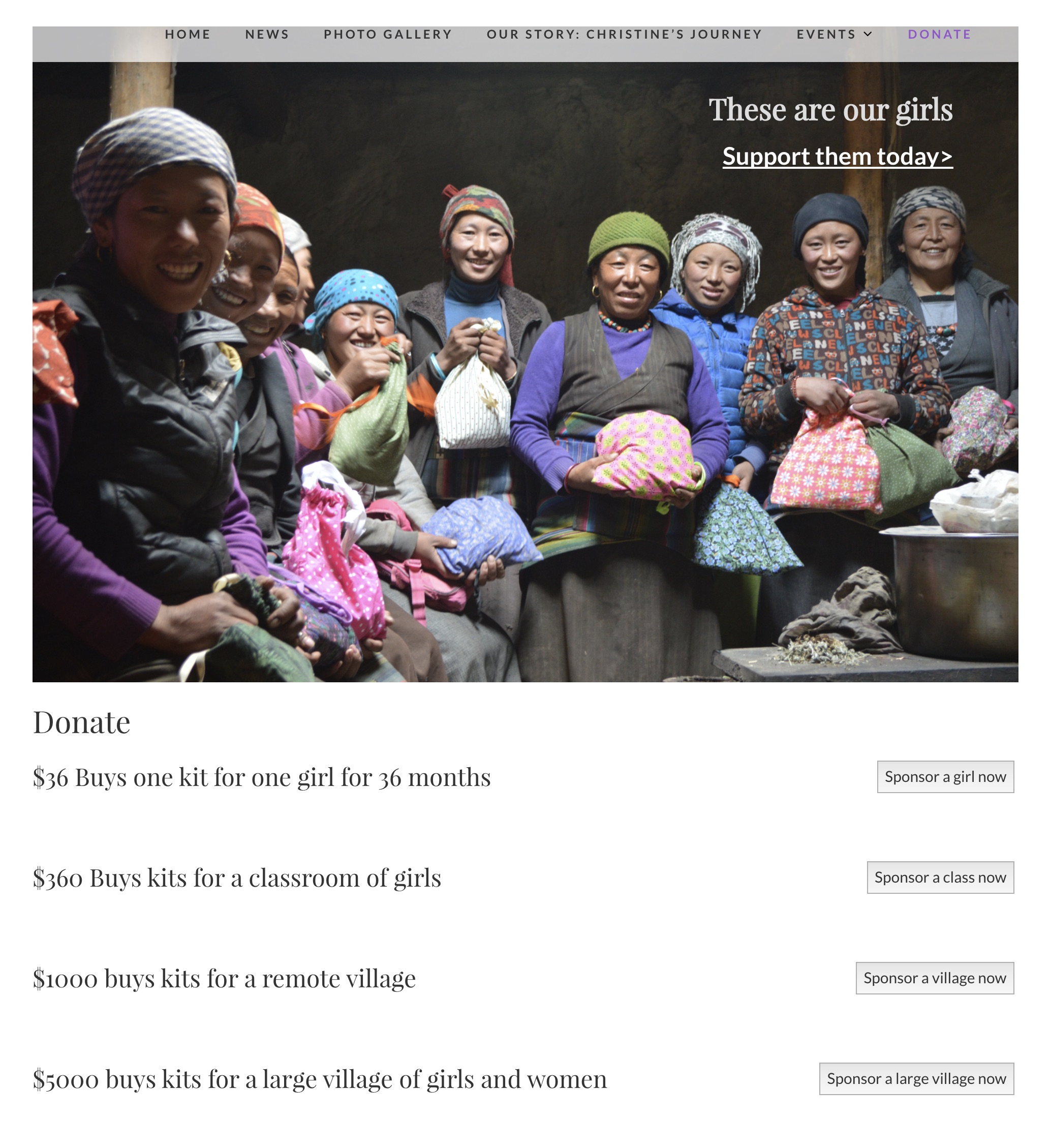 Women to Be website donation page image